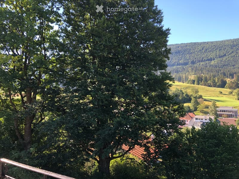 3 ½ pièces dans une maison de Maître – Un lieu de vie plein de charme et de verdure (27)