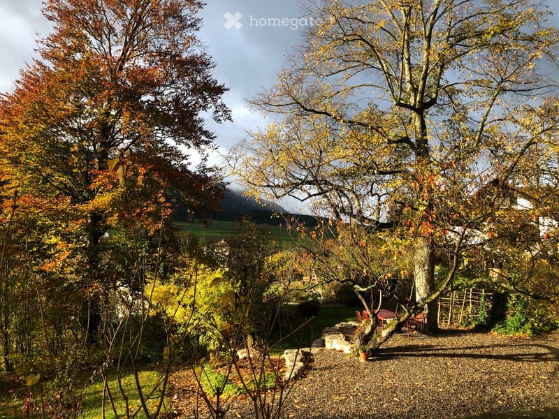 3 ½ pièces dans une maison de Maître – Un lieu de vie plein de charme et de verdure (29)