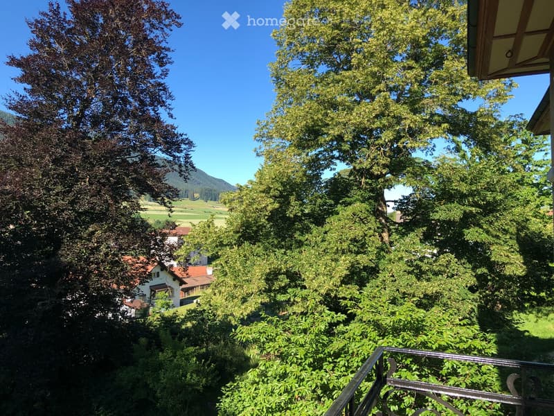 3 ½ pièces dans une maison de Maître – Un lieu de vie plein de charme et de verdure (30)