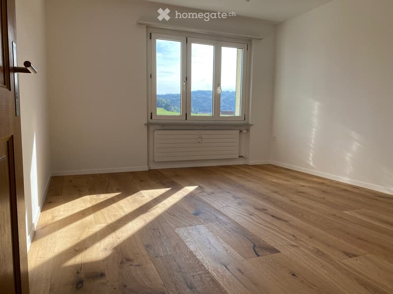 Empty room with light wooden flooring, white walls, large window with a scenic view, and a radiator below the window.