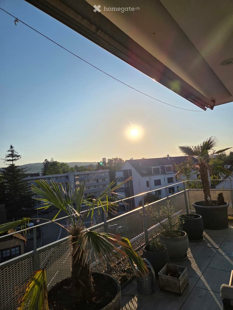 Balcony with potted plants, metal railing, and a view of the city and surrounding landscape during sunset.