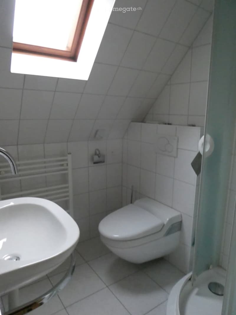 Small bathroom with white tiles, a toilet, a sink with a chrome faucet, a towel rack, and a toilet paper holder. The room has a skylight window providing natural light.