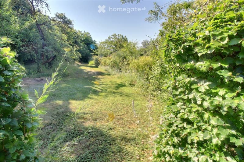 A narrow, grassy pathway bordered by dense green foliage and trees, leading into a wooded area under a clear blue sky.