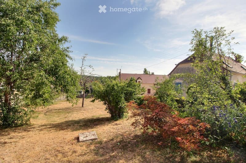 A well-maintained garden with various trees, shrubs, and a stone pathway leading to a house in the background.