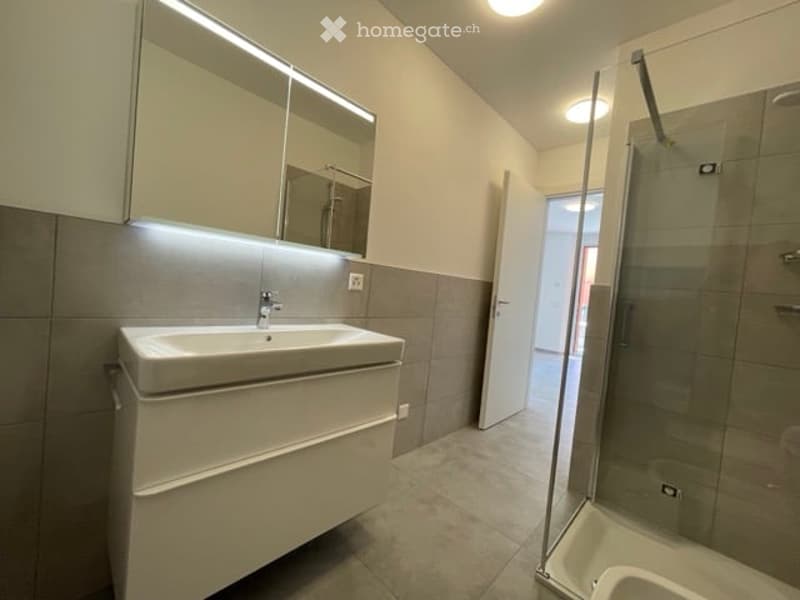 Modern bathroom with a white sink, mirrored cabinet, and a glass-enclosed shower stall.