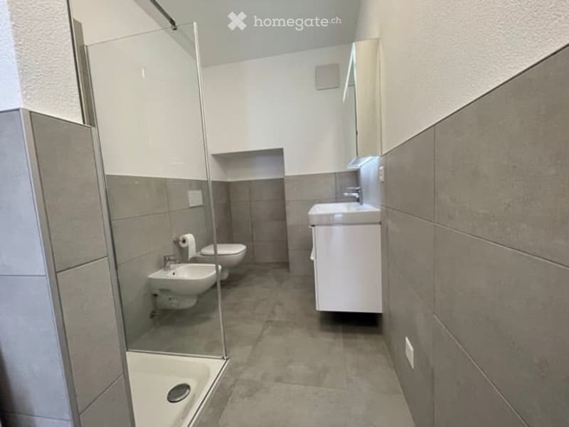 Modern bathroom with a glass-enclosed shower, toilet, bidet, sink, and mirror. The walls are tiled in neutral tones, and the floor is made of light-colored tiles.