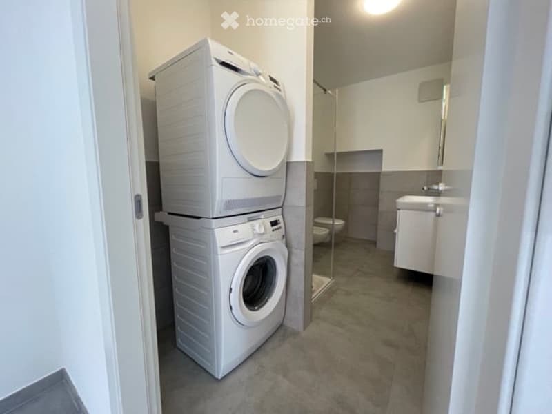 Modern bathroom with a stacked washer and dryer unit, a sink with a mirror, and a toilet in a glass-enclosed shower area.