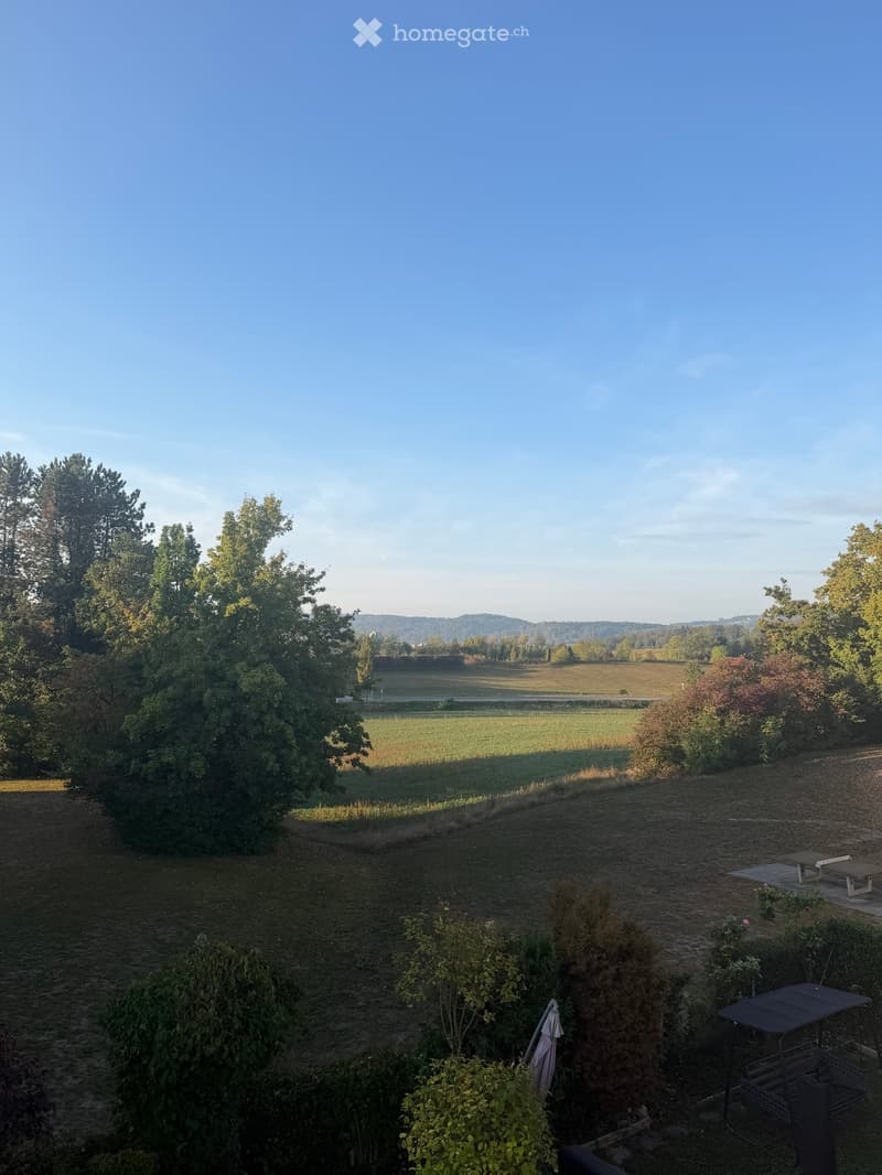 Garden area with a table, benches, chairs, and a scenic view of a field and trees.