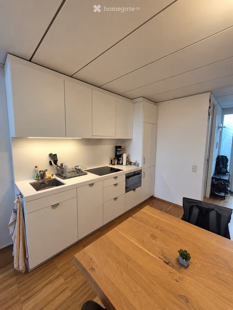 Modern kitchen with white cabinets, a wooden table, and a sink area. The space includes a built-in oven, a dish rack, and a small potted plant on the table.