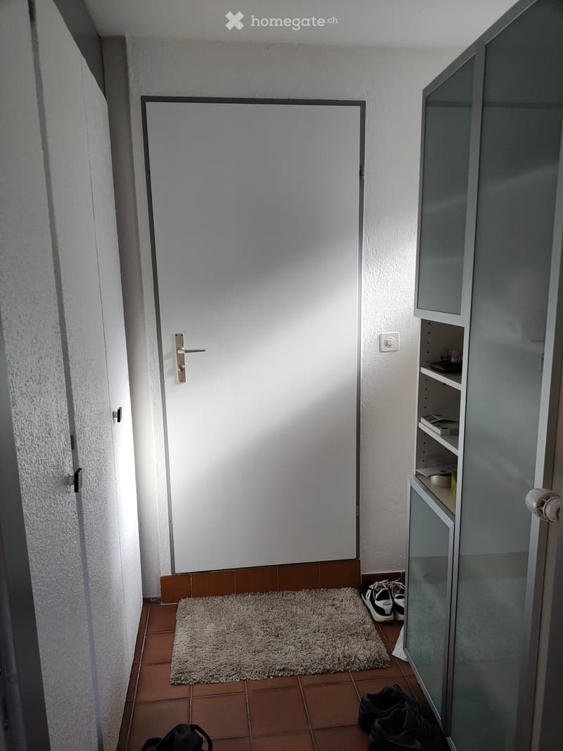 A narrow hallway with a tiled floor, a white door, a small rug, and a glass cabinet with shelves containing various items. Shoes and a bag are placed on the floor near the cabinet.