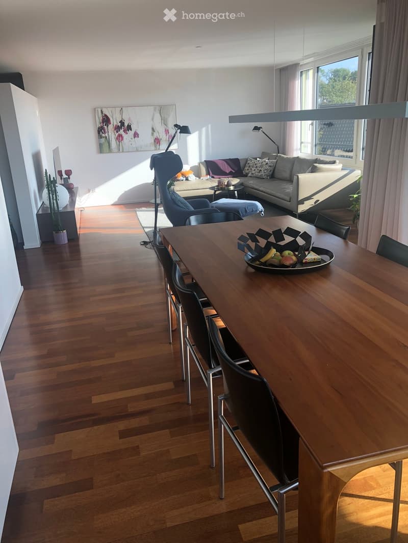 Sonnige, ruhige, grosszügige Wohnung im exklusivem Ausbaustandard am Sonnenberg von Winterthur (8)