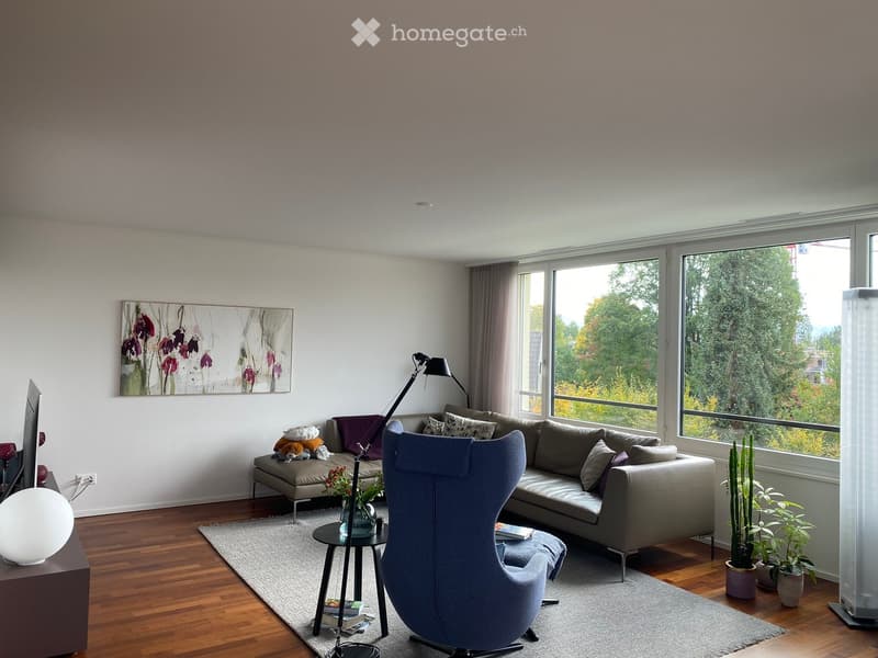 Sonnige, ruhige, grosszügige Wohnung im exklusivem Ausbaustandard am Sonnenberg von Winterthur (9)
