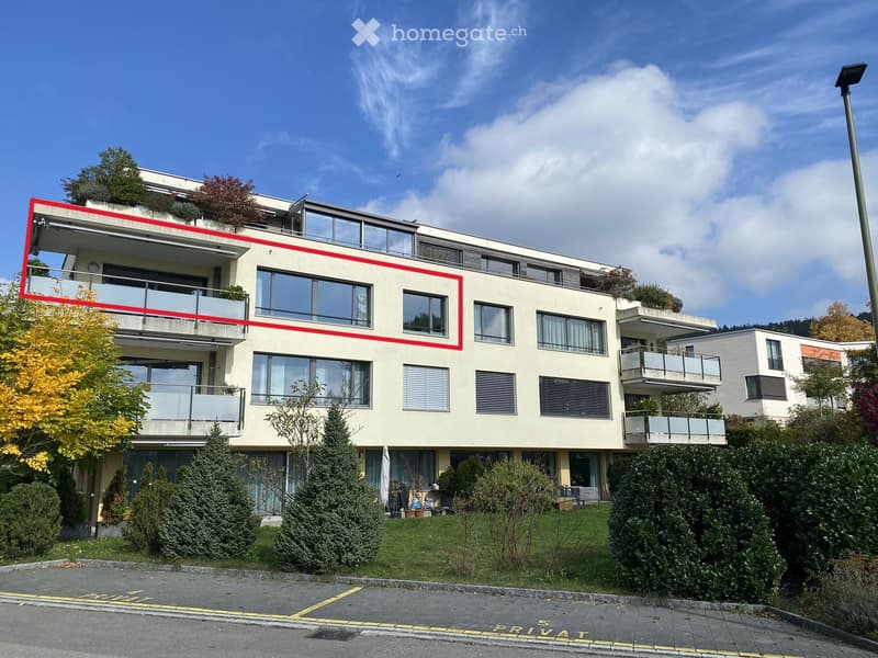 Sonnige, ruhige, grosszügige Wohnung im exklusivem Ausbaustandard am Sonnenberg von Winterthur (1)