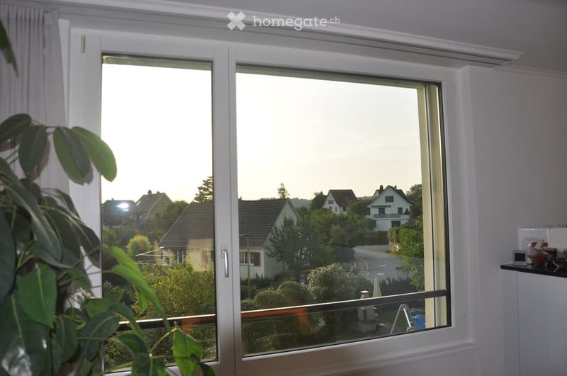 Sonnige, ruhige, grosszügige Wohnung im exklusivem Ausbaustandard am Sonnenberg von Winterthur (7)