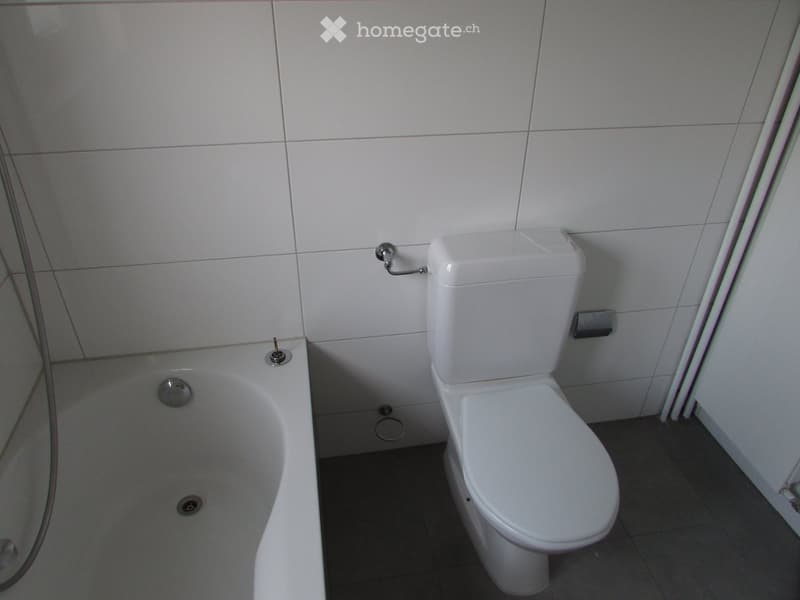 3 1/2 Zimmer Gartenwohnung in Muttenz (6)