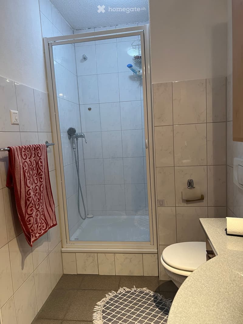 Modern bathroom with a glass-enclosed shower, tiled walls, a toilet, a towel on a rack, and a small decorative rug on the floor.