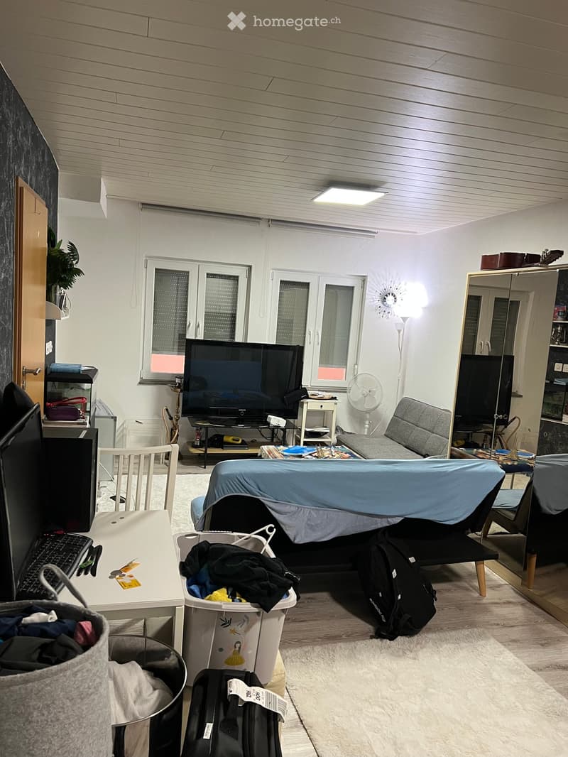 A multi-purpose room with a sofa, a table, a chair, a television, a fan, a mirror, a backpack, a laptop, a keyboard, a laundry basket, and a plant.