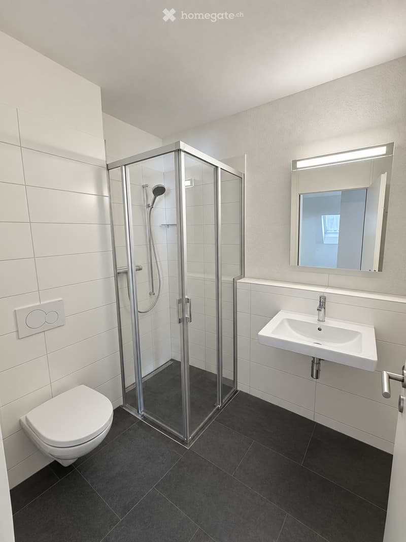 Modern bathroom with white tiles, black floor, glass-enclosed shower, toilet, sink, and mirror.