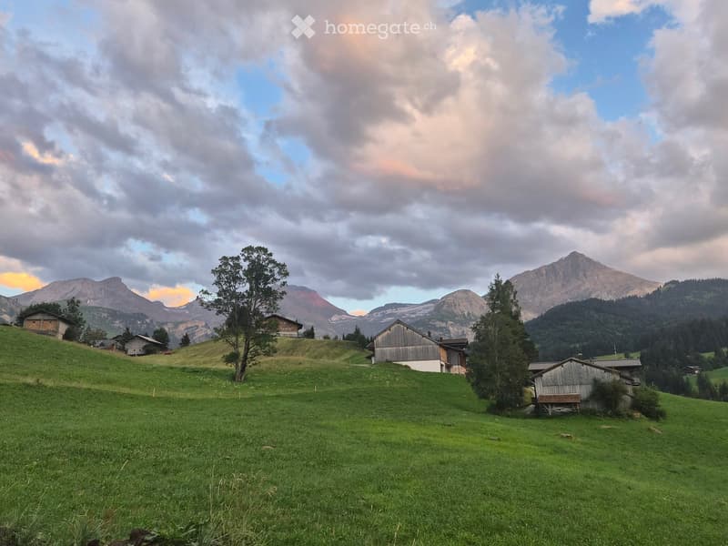 A serene alpine landscape with a grassy field, scattered wooden houses, and distant mountains under a partly cloudy sky.