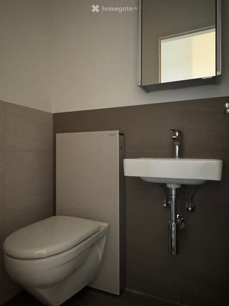 Modern bathroom with a toilet, sink, and mirror. The sink has a chrome faucet, and the walls are painted in two tones: light grey on the upper half and dark grey on the lower half.