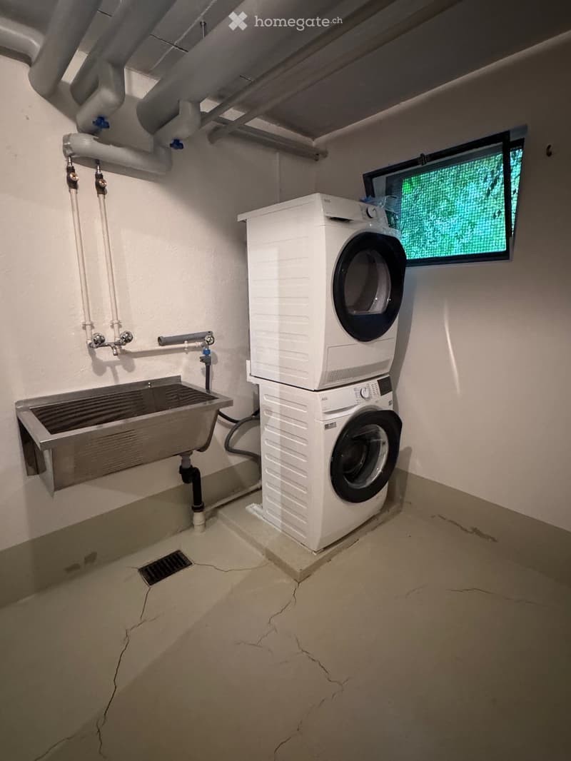 Utility room with a washing machine and a sink, exposed pipes, and a small window.