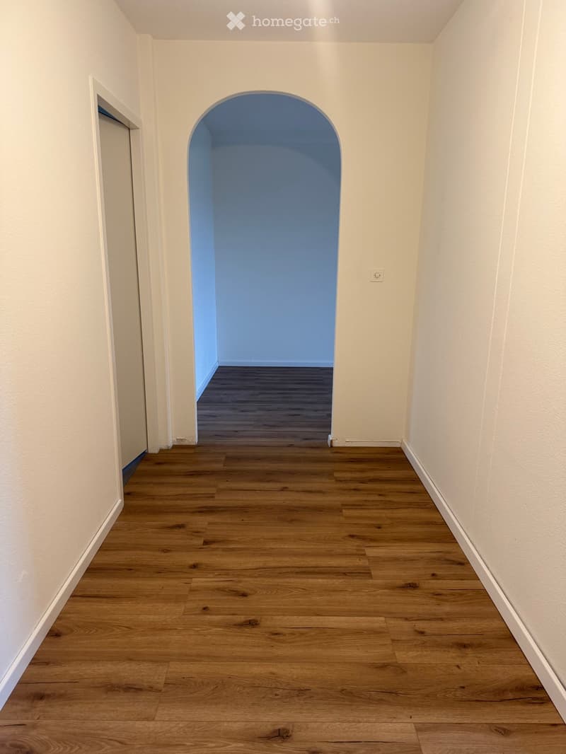 Empty hallway with light wooden flooring and white walls, featuring an arched doorway leading to another room with blue walls and dark flooring.