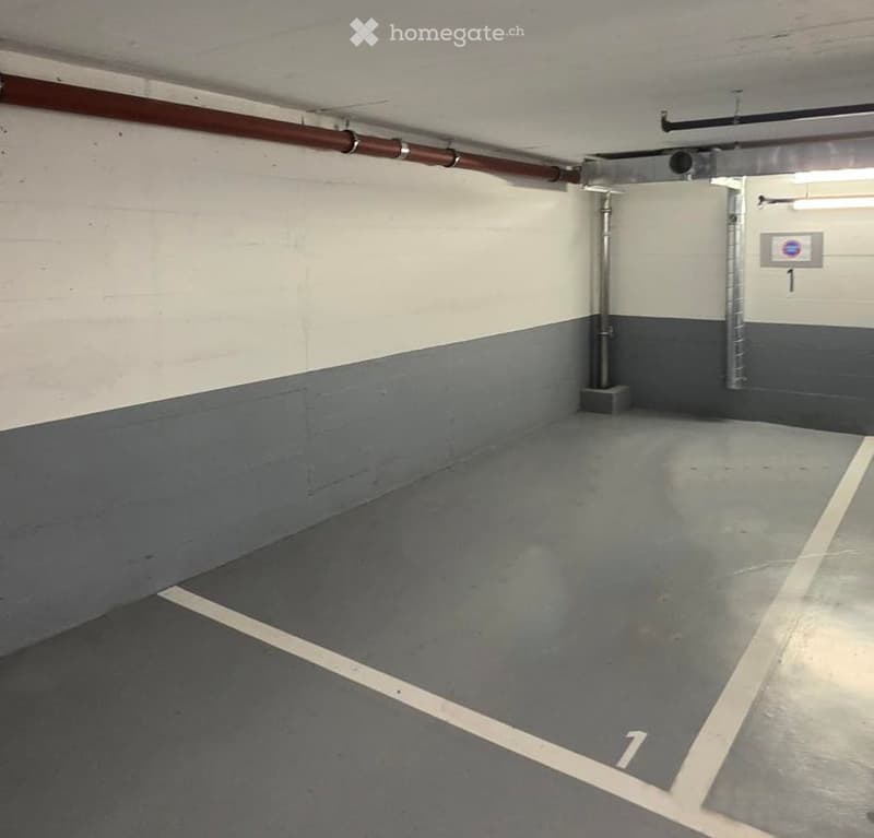 {"type": "Parking place", "objects": [], "description": "Empty underground parking space with marked parking spots, concrete floor, and painted walls.", "localized_descriptions": {"EN": "Empty underground parking space with marked parking spots, concrete