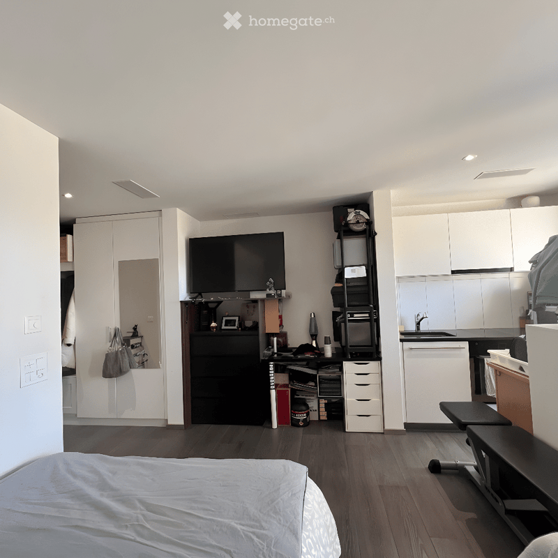 A modern, open-concept room with a bed, television, kitchen area, and storage cabinets. The space features wooden flooring and white walls.