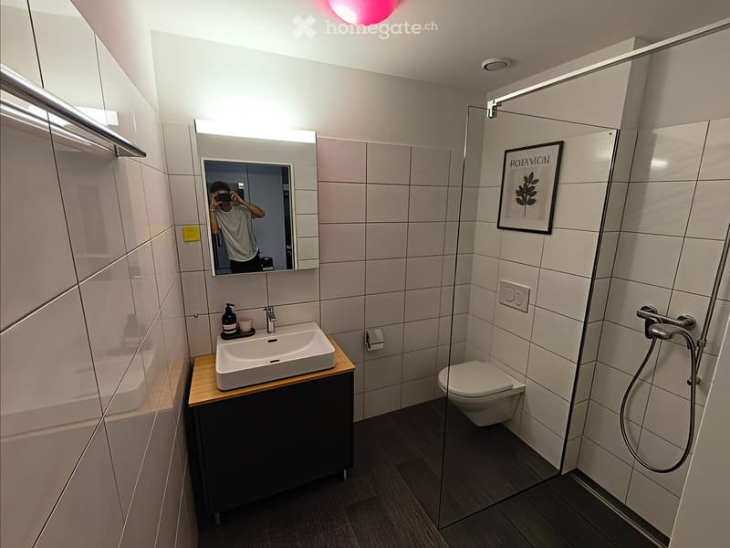 Modern bathroom with a white sink, mirror, toilet, and glass-enclosed shower. Features a dark wooden floor and grey tiled walls.