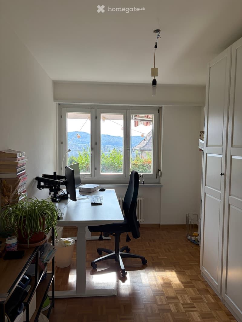 A well-lit room with wooden flooring, a large window offering a scenic view, a desk with a laptop, keyboard, and monitor, a black office chair, a potted plant, and a stack of books on a side table.