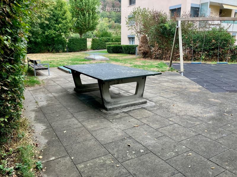 Outdoor area with a concrete picnic table, bench, swing set, and surrounding greenery.