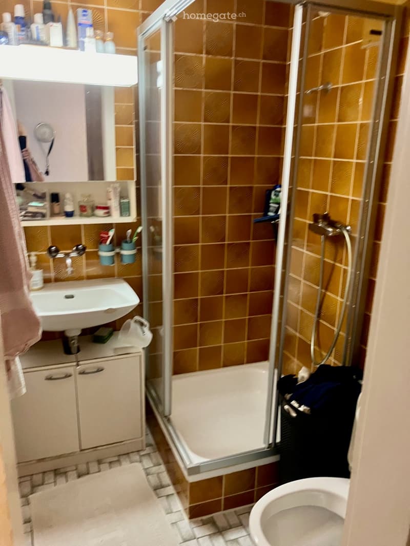 Bathroom with a sink, mirror, cabinet, toilet, and a shower area with a glass enclosure. The walls are tiled in a warm orange color, and there are various toiletries and a towel visible.