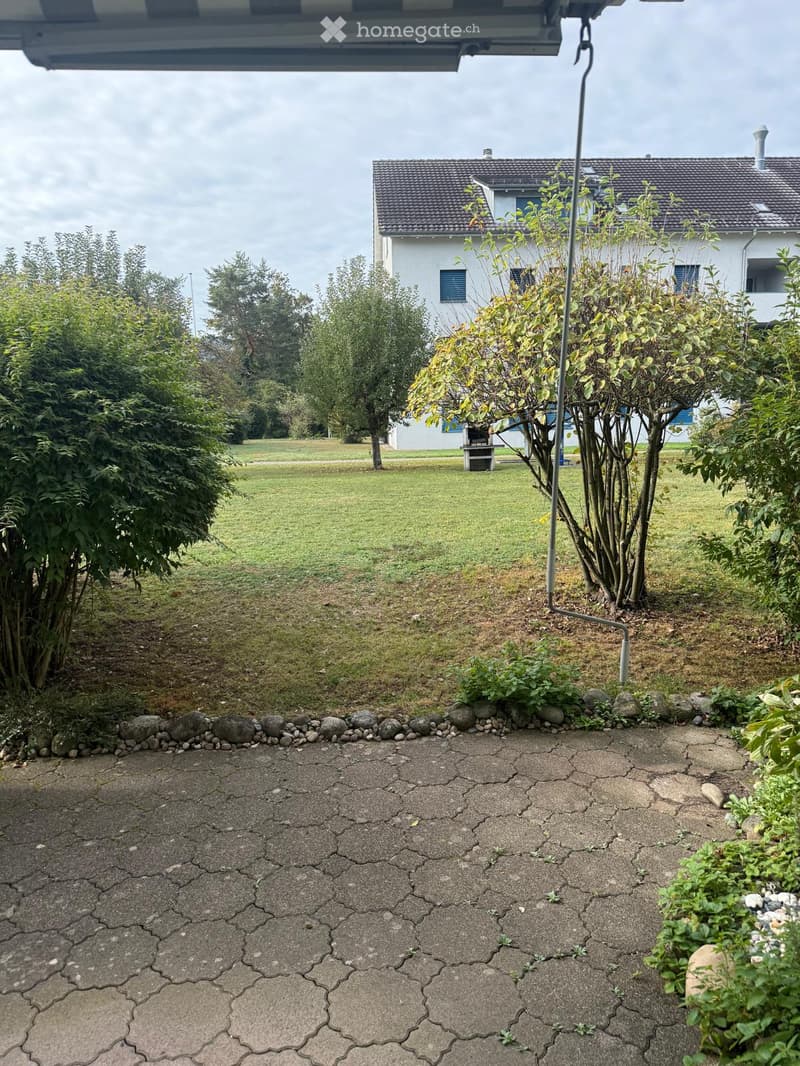Garden area with a concrete patio, small rocks along the edge, and a well-maintained lawn with trees and bushes. A white house is visible in the background.