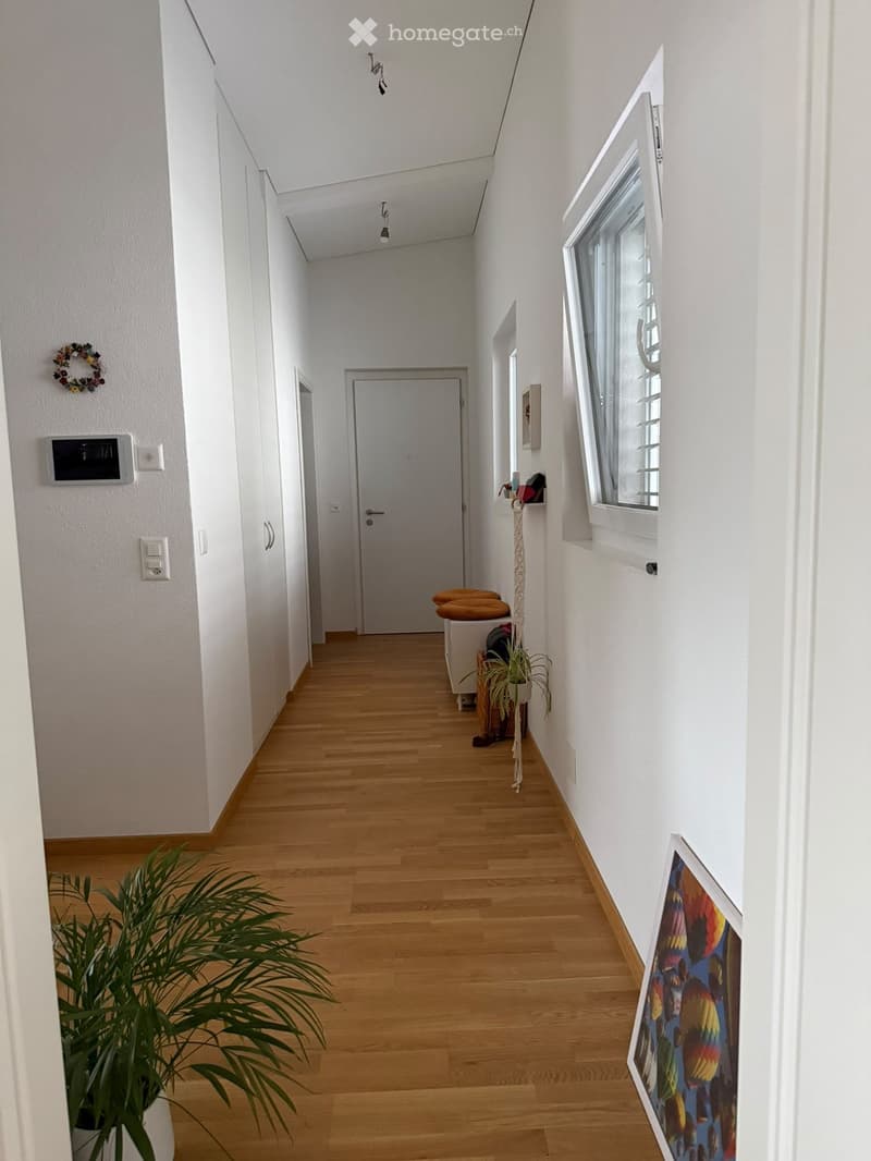 A clean, well-lit hallway with light wooden flooring, white walls, and a large window on the right side. There is a small plant in a pot near the left wall and a framed picture on the right wall.