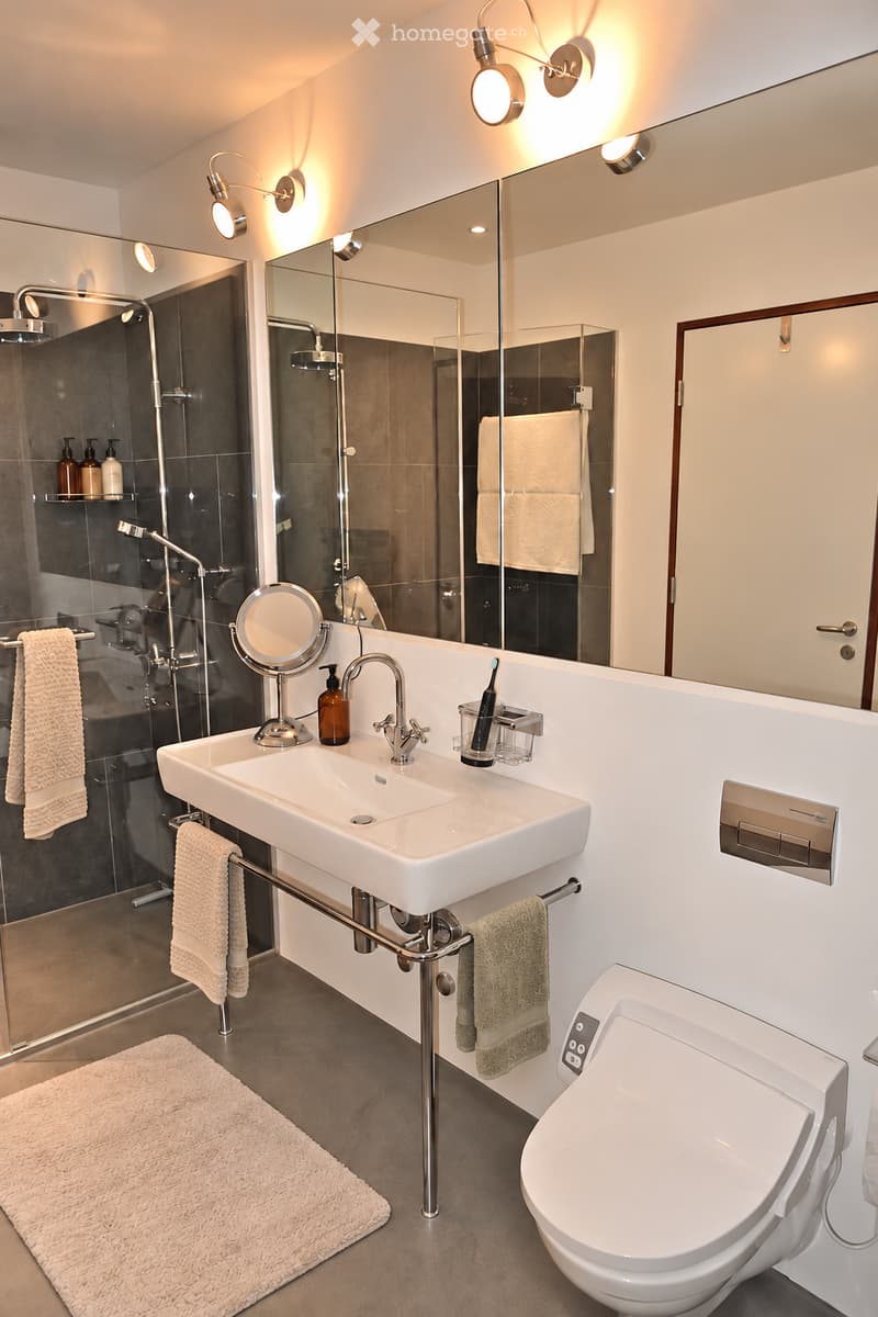 Modern bathroom with a white sink, toilet, large mirror, and glass-enclosed shower. Features include a towel rack, a small rug, and wall-mounted lighting.