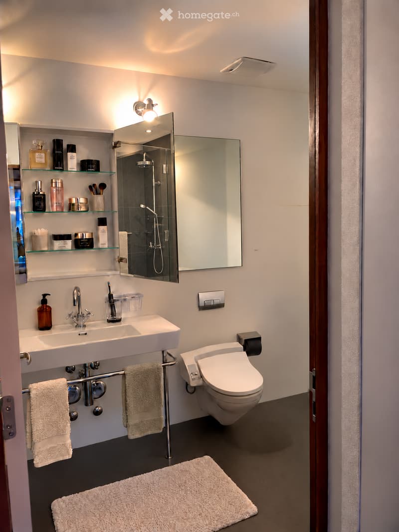 Modern bathroom with a white sink, chrome faucet, toilet, large mirror, glass shower enclosure, and decorative towels. Shelves hold toiletries and cosmetics.