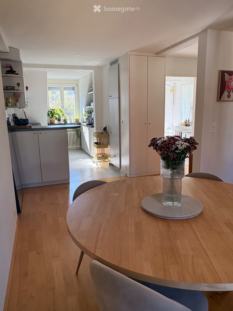 Duplex/maisonette in Zürich (3)