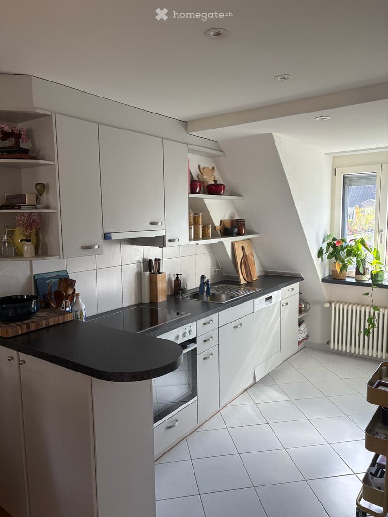 Duplex/maisonette in Zürich (5)