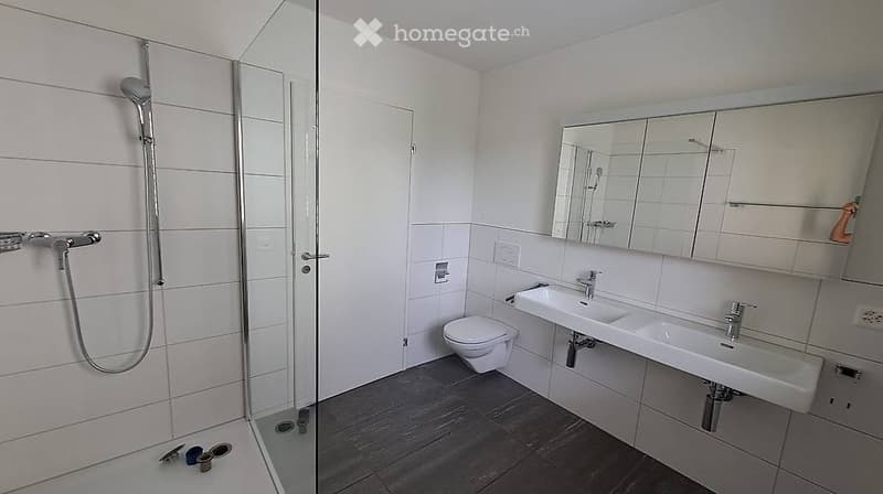 Modern bathroom with white tiles, a glass-enclosed shower, a double sink, a toilet, and a large mirrored cabinet.