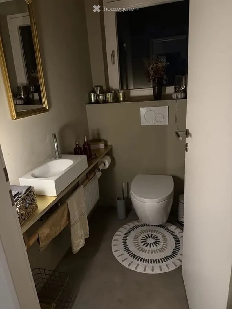 Modern bathroom with a white sink, chrome faucet, toilet, and a decorative round rug. A mirror with a gold frame is mounted on the wall, and a shelf holds various items including a vase with flowers.