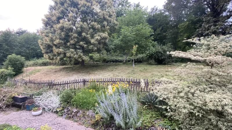 Garden area with a wooden fence, various plants, trees, and a small seating area with a bench and potted plants.