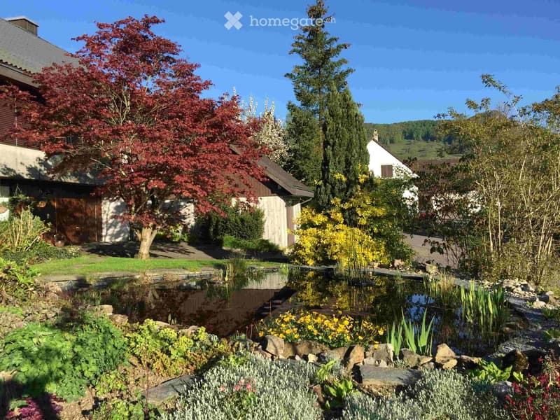 Well-maintained garden with a pond, various trees, shrubs, and flowers, surrounded by a house and additional structures.