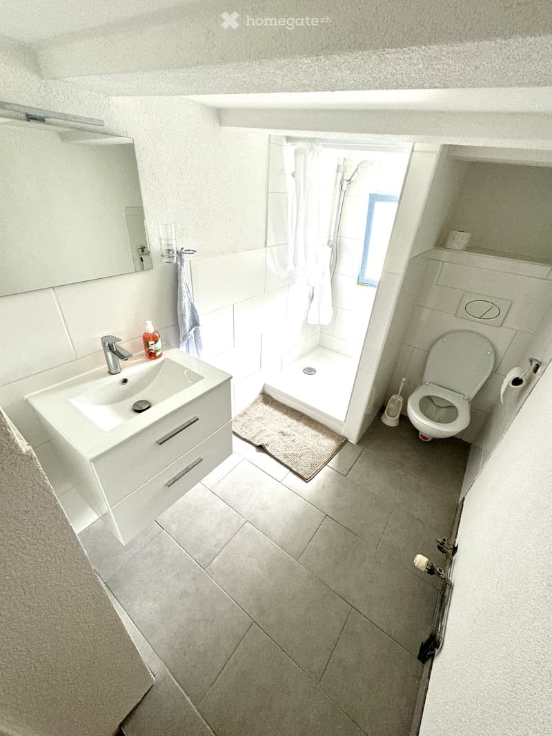 Modern bathroom with a white sink, mirror, toilet, and a small shower area with a window. Includes a towel, a bottle on the sink, and a toilet paper holder.