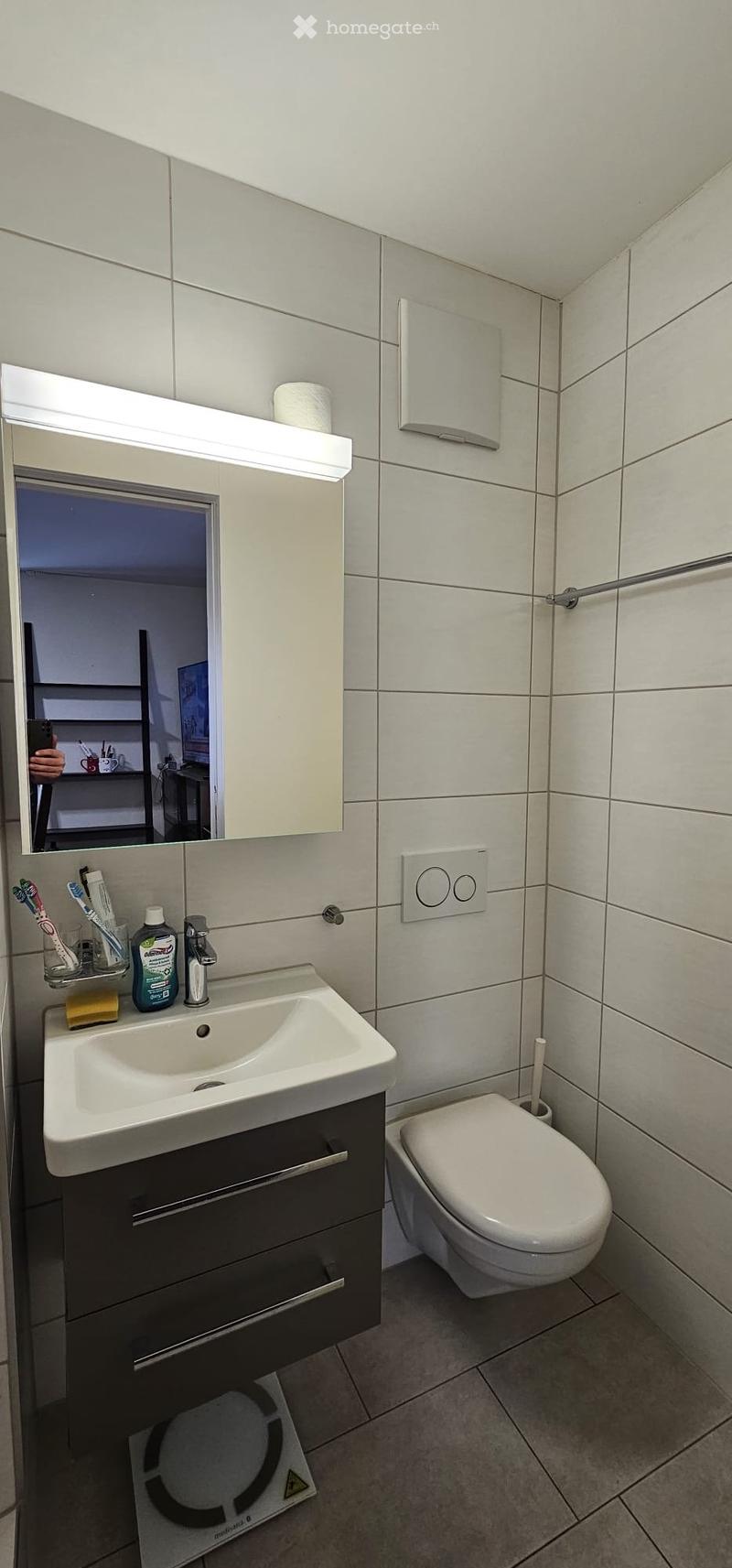 Modern bathroom with a white sink, dark cabinet, mirror with built-in lighting, and a toilet. Toothbrushes, toothpaste, and a soap dispenser are on the sink counter.