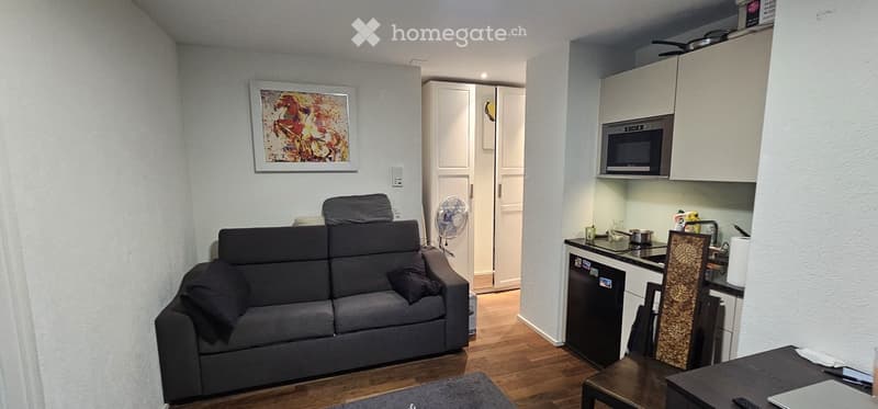 A modern, compact living space with a grey sofa, small table, and chair in the living area, and a compact kitchen with a refrigerator, microwave, and sink.