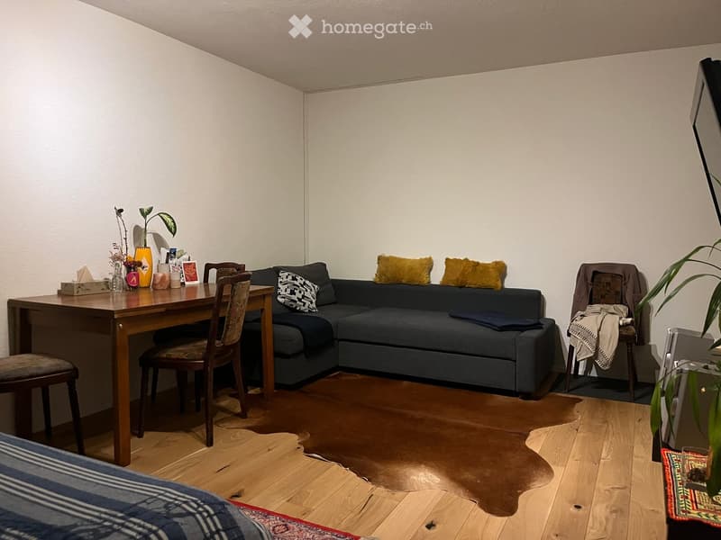 A cozy living room with a dark blue sectional sofa, wooden dining table, chairs, and decorative items including a plant and vase on the table.