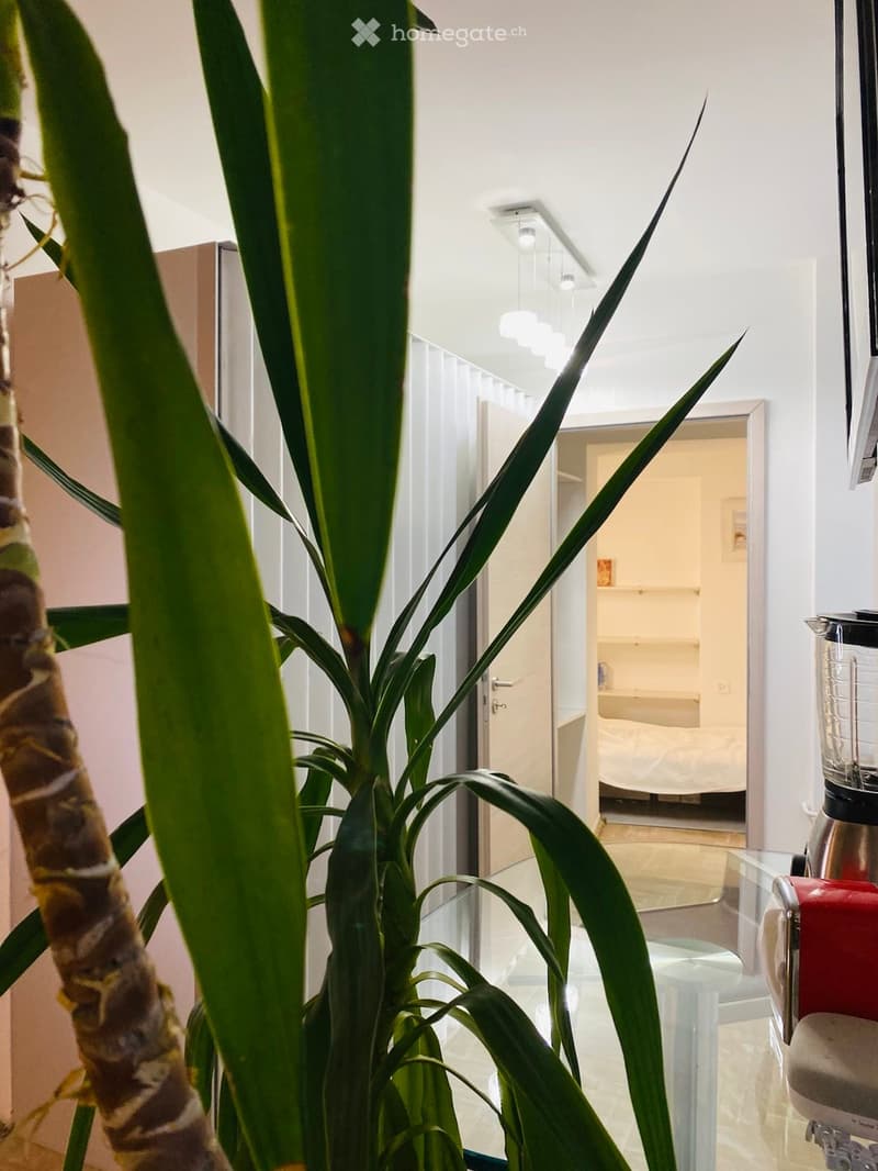A modern, well-lit hallway with a large leafy plant in the foreground, a glass table with a stool, and a red blender on a counter. A bedroom is visible in the background through an open doorway.
