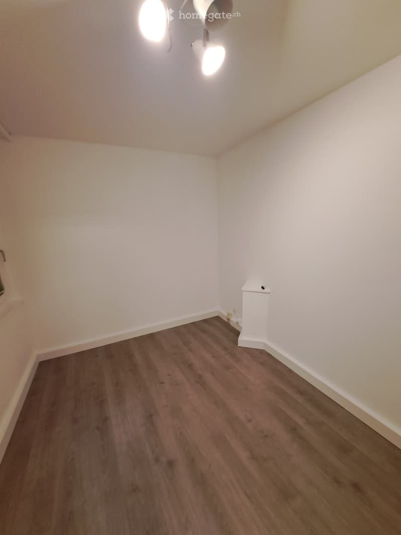 Empty room with light-colored walls and wooden flooring, featuring a ceiling light fixture and a small white cabinet in the corner.
