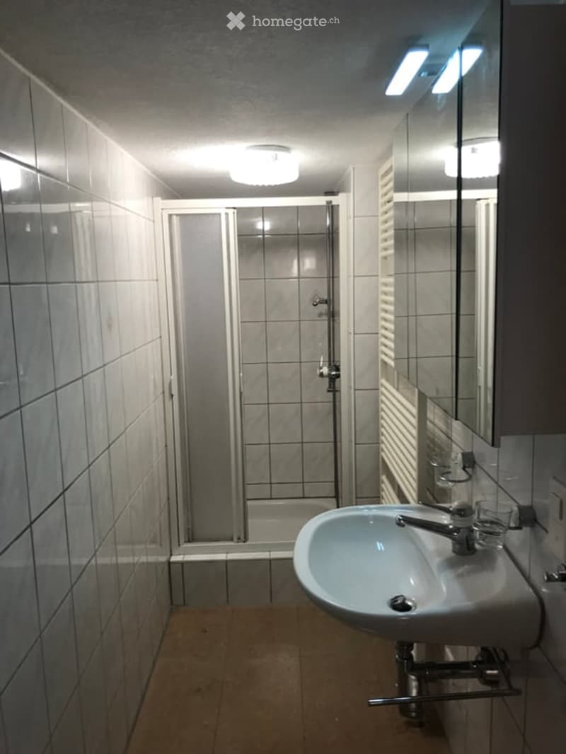 Modern bathroom with white tiled walls, a single sink with a chrome faucet, a large mirror, and a glass-enclosed shower stall.