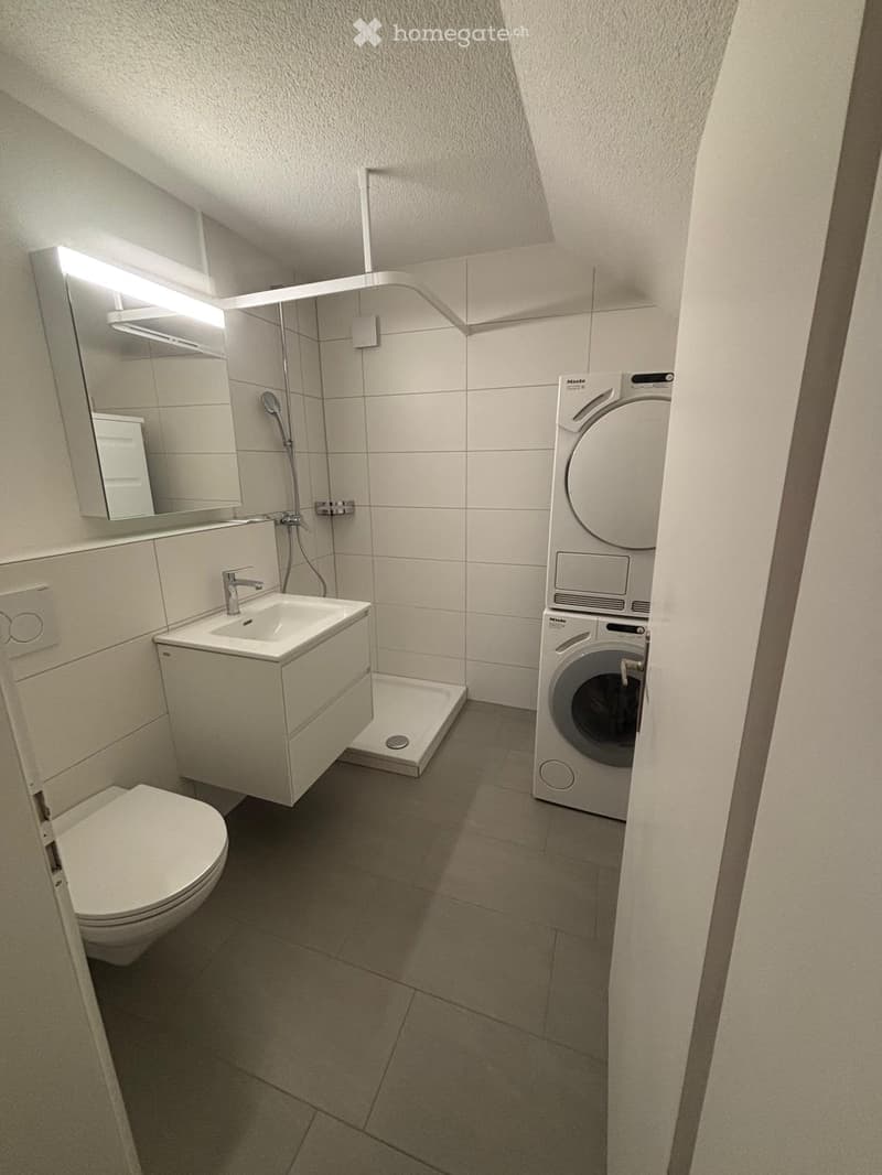 Modern bathroom with a toilet, sink, mirror, shower, and a private washing machine.